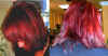 client4.jpg (39833 bytes)